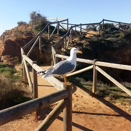 Apartment Family Albur Village Ii Alvor