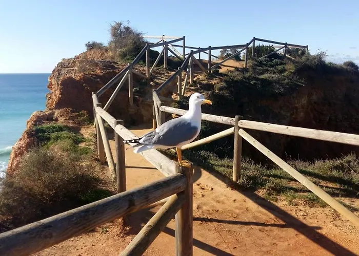 Apartmán Family Albur Village Ii Alvor